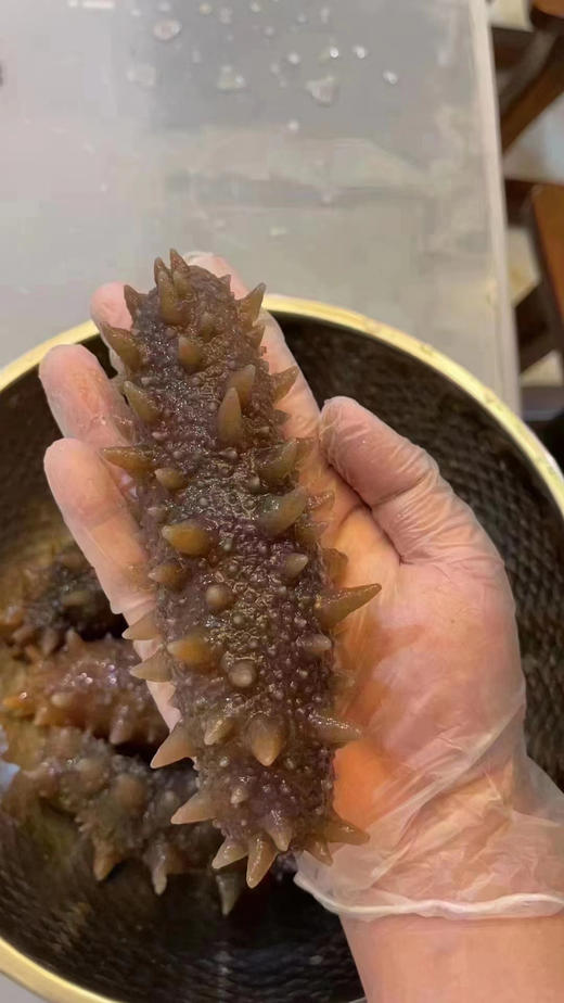 大连即食海参，“懒人”必备！口感鲜嫩Q弹、却不失劲道。解冻即食，非常方便，营养价值高 商品图3
