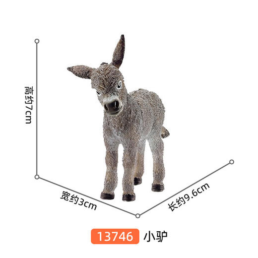 思乐 小驴SCHC13746 商品图1