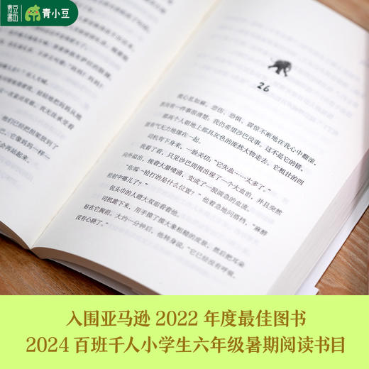 《大象女孩》 商品图4