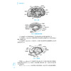 人体影像解剖学 第2版 国家卫生健康委员会十四五规划教材 全国高等学校教材 供医学影像技术专业用9787117363112人民卫生出版社 商品缩略图4