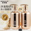【VIP-G】芭思蔻 鱼子酱氨基酸密润洗发水 500ml /芭思蔻 鱼子酱氨基酸臻润发膜 500ml 商品缩略图1
