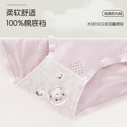 洁丽雅中腰纯棉女士内裤舒适亲肤双层纯棉底裆透气零感三角裤 商品图3