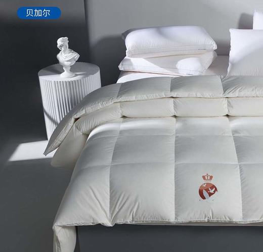 进口95白鹅绒被四季通用被子冬被加厚保暖羽绒被 石墨烯无痕 商品图5