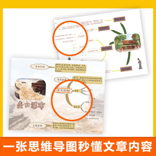 梁衡语文绘本 商品图4