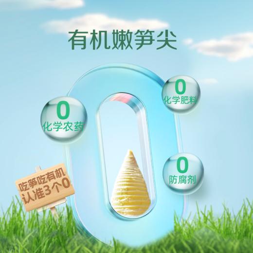 极野有机笋 有机糯米笋尖有机嫩笋尖有机脆笋尖  炖汤、热炒、凉拌菜、火锅【京东快递送货上门】 商品图11