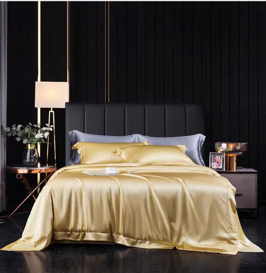 喜得宝  真丝重磅19姆米素色四件套定制款 商品图2