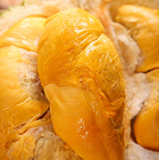 马来西亚黑刺榴莲液氮冷冻果【需要冷冻保存】顺丰空运包邮下单从广州发货 商品图1