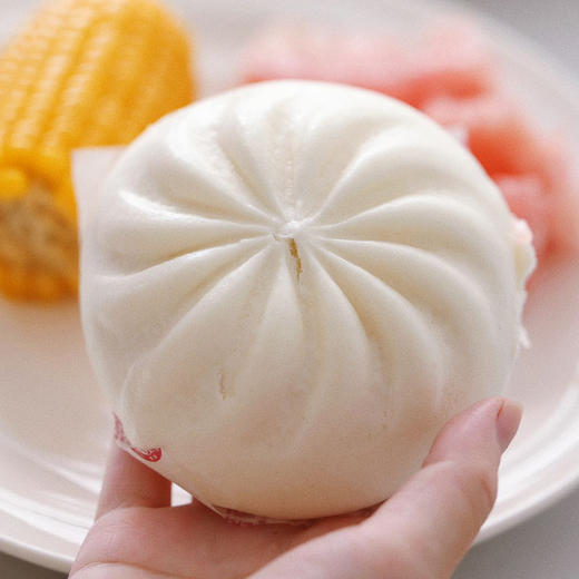 国家龙头企业福建海新1号叉烧包  纯正鲜肉  鲜香叉烧汁 面皮松软  营养早餐 商品图1