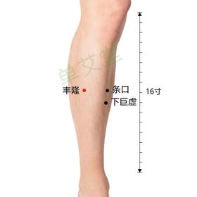  人体三大化痰奇穴，大人小儿都能用！ 