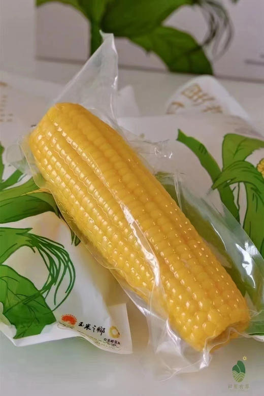 田里有草玉米，人工除草，非转基因锁鲜，独立真空包装，干净卫生 商品图1
