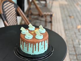 薄荷巧克力蛋糕