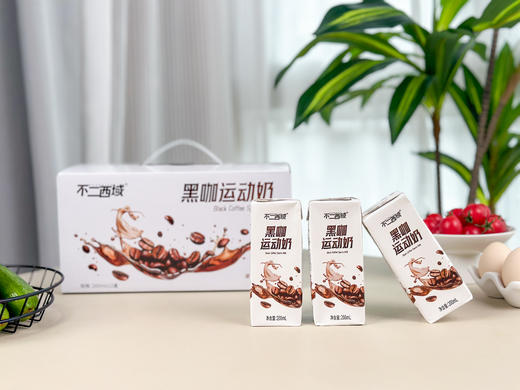 不二西域黑咖运动奶 一起迈向更美好的自己 商品图3