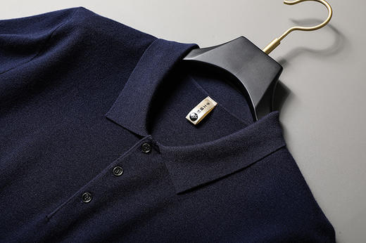 【莱赛尔】【新款DG】大依优型翻领毛衣针织衫短袖背心休闲针织衫毛背心加肥加大上衣男士胖子大码毛衫t恤打底 商品图4