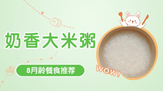 8月龄：奶香大米粥 商品图0