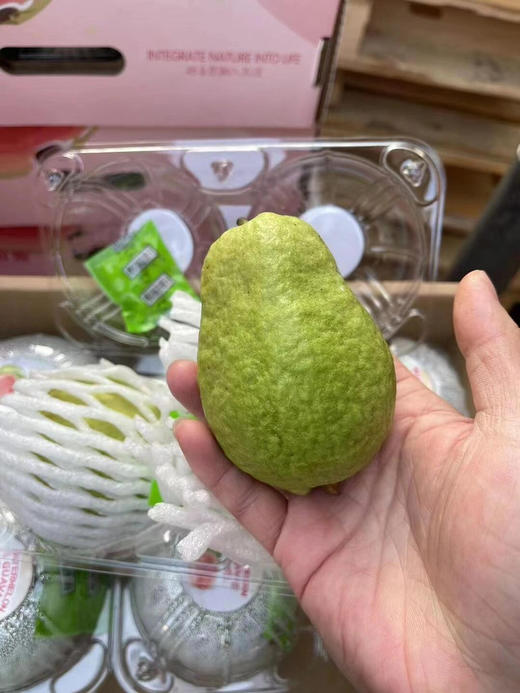 树熟红心芭乐，营养丰富的水果，低糖水果（有大小果，匀属于正常） 商品图3