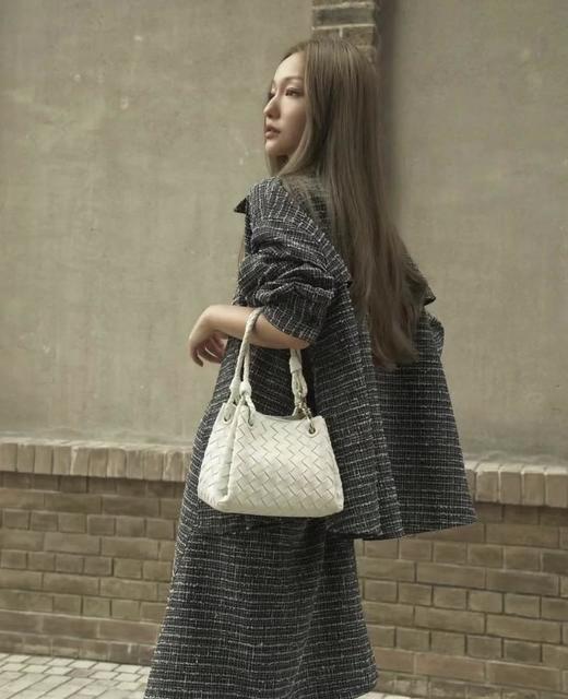 BV24*包王来了，深受*热捧Andiamo正单意大利小羊皮（MM） 商品图6