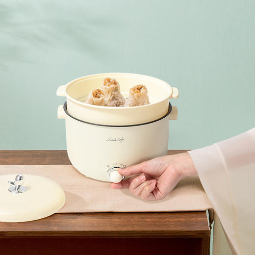 康佳旗下小画仙2.5L多功能电火锅KDZG-1003-L 安全耐用 美味速享 商品图4