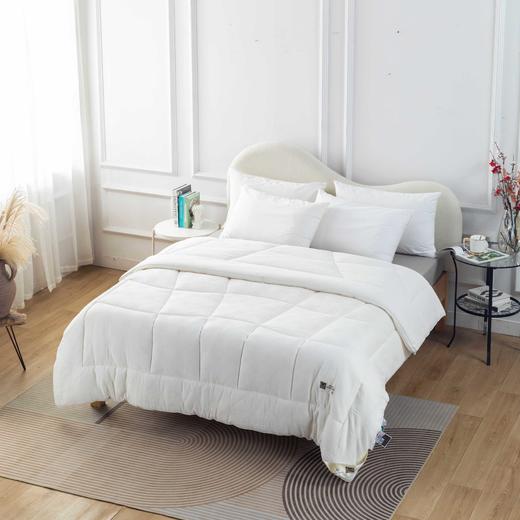 【远梦】澳洲羊羔毛双绒被 商品图3