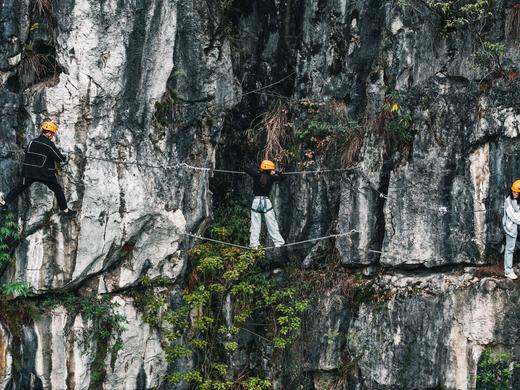 重庆-宜宾VIP豪华游 商品图4
