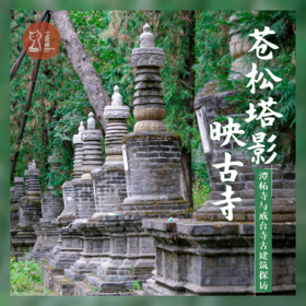 「1月3日·京郊访古」苍松塔影映古寺·潭柘寺与戒台寺古建筑探访