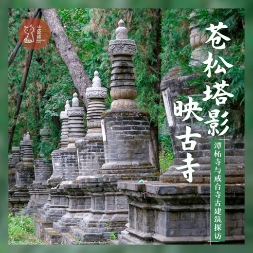 「1月3日·京郊访古」苍松塔影映古寺·潭柘寺与戒台寺古建筑探访 商品图0