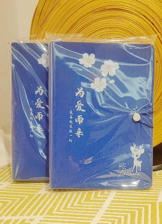 安联文创笔记本 商品图1