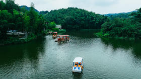 重庆-宜宾VIP豪华游