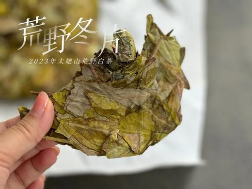 【珍藏级茶饼】2023荒野冬片饼，诞生在隆冬季节的冰沁汤水与深长竹叶香，每一饼，都藏着最深的冬（8饼收藏装） 商品图3