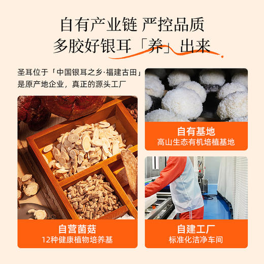 白色生津食品  圣耳高山生态有机银耳3*70g/罐 焖20分钟 即食免洗免泡发 商品图5