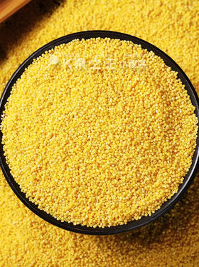 黄小米，色泽金黄，米粒圆润饱满，润燥、小米粥熬出来的米油很厚，很香