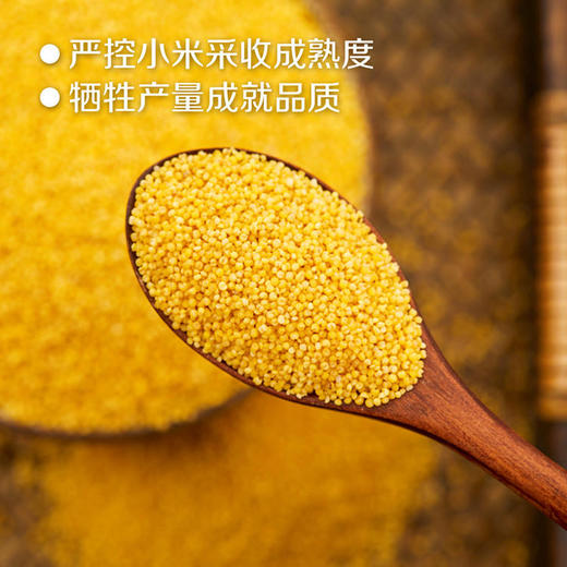 中粮初萃山西黄小米400g 商品图3