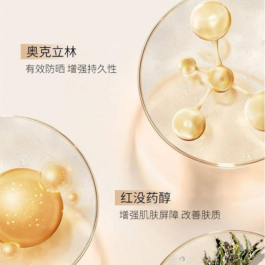 （新品限时优惠）广州药妆正品透肌水润防晒粉底液防敏体系清透防水防汗精致美丽 商品图1