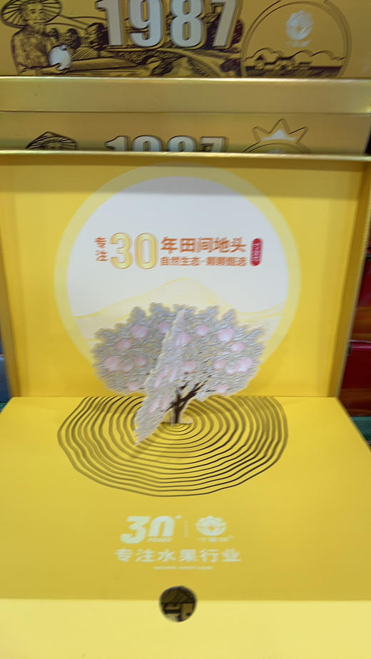 品牌四川突尼斯软籽石榴 商品图4