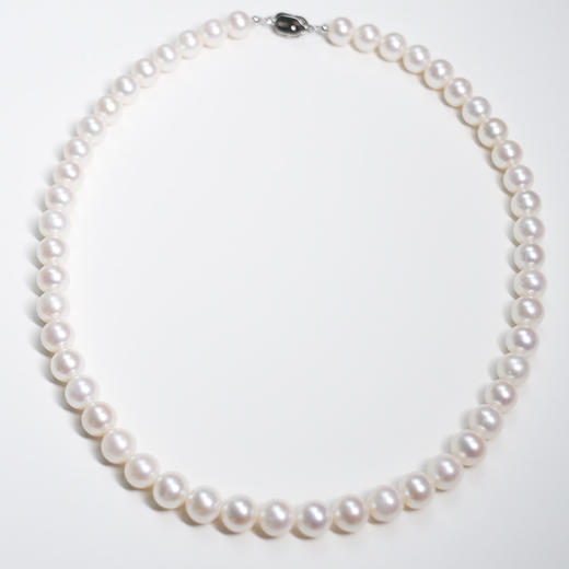 Miss G&E强光正圆天然淡水珍珠项链10-11mm锁骨链时尚款女生送礼节日礼品 商品图3