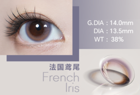 粉紫色-法国鸢尾（半年抛/月抛）