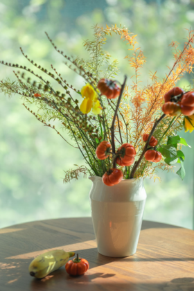 【第二十一期】果实类花材返图优秀作品展示