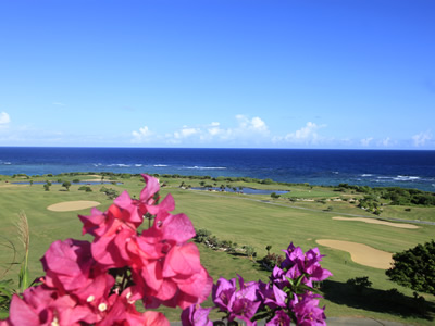 日本蔚蓝冲绳4晚5天3球挥杆之旅（冬季线）