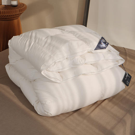 【高端羽绒被】95白鹅绒冬被 五*酒店被子被芯 冬季保暖加厚双人鹅绒被 商品图6