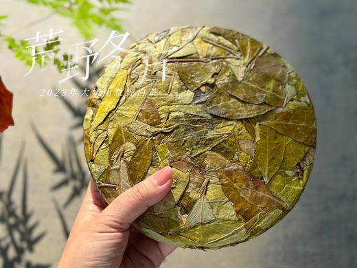 【珍藏级茶饼】2023荒野冬片饼，诞生在隆冬季节的冰沁汤水与深长竹叶香，每一饼，都藏着最深的冬（1饼收藏装） 商品图2