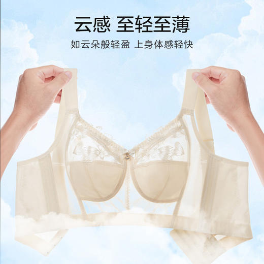轻奢女王调整型文胸 无钢圈全罩杯超薄杯 通透蕾丝灵动刺绣 大胸显小 桑蚕丝里料抑菌滋养 商品图3