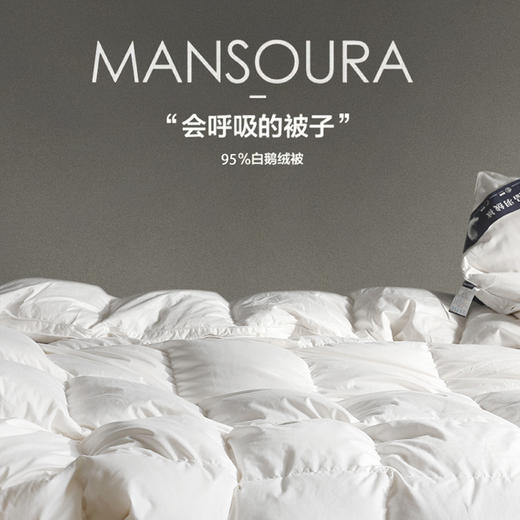 【高端羽绒被】95白鹅绒冬被 五*酒店被子被芯 冬季保暖加厚双人鹅绒被 商品图1