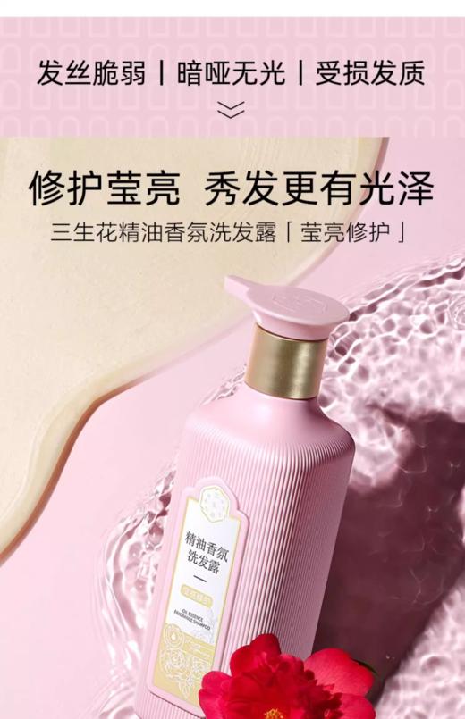 【任选2瓶39.8元】三生花精油香氛洗发露、沐浴露、护发素、莹亮修护、(去屑止痒)500m1 商品图5
