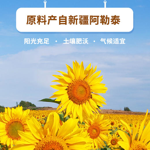 【新疆军垦】【天山皇后】新疆原味瓜子 418g*2袋 商品图2