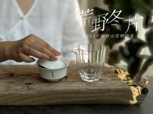 【珍藏级茶饼】2023荒野冬片饼，诞生在隆冬季节的冰沁汤水与深长竹叶香，每一饼，都藏着最深的冬（1饼收藏装） 商品图10