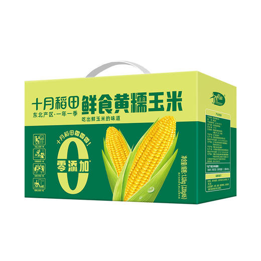 [鼎】十月稻田鲜食黄糯玉米1.32kg（220gX6） 商品图2