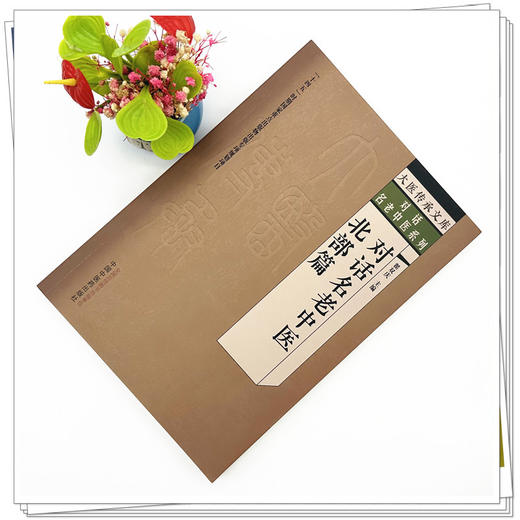 对话名老中医 北部篇 翟双庆 主编 中国中医药出版社 大医传承文库 对话名老中医系列 商品图1