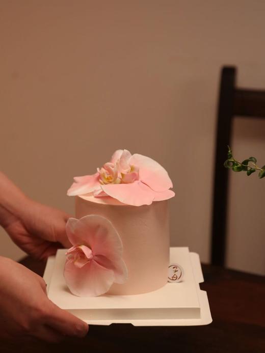 粉色蝴蝶兰（提前6小时预定/主图4寸加高） 商品图1