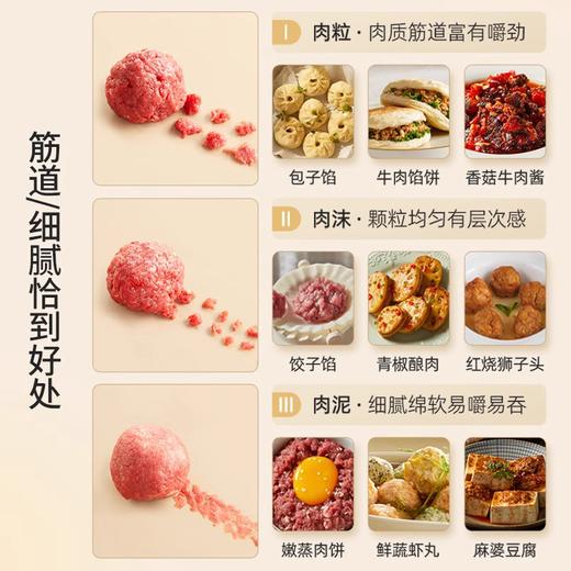 小熊绞肉机小型家用多功能绞肉机电动粗细料理机切碎机2L 商品图2
