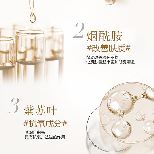 （新品限时优惠）广州药妆正品澳莱莉白桦树汁双抗亮素颜霜 商品图2