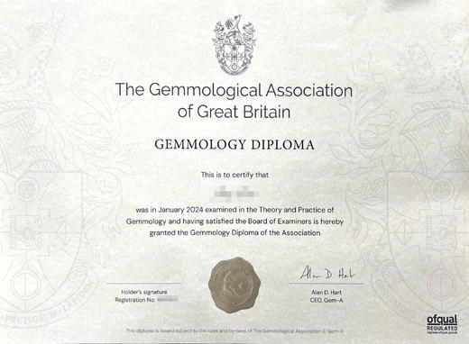 【上海分校】FGA宝石学基础/证书课程 商品图0